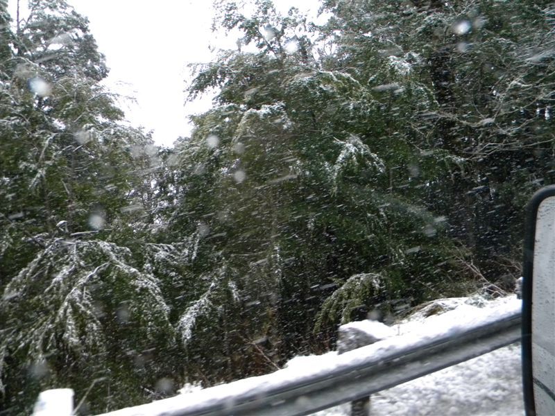 From snow to......