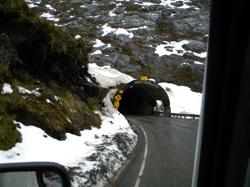 The drive through the tunnel was a hit with the whole family