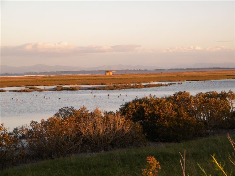 Dusk at Miranda on The Firth Of Thames