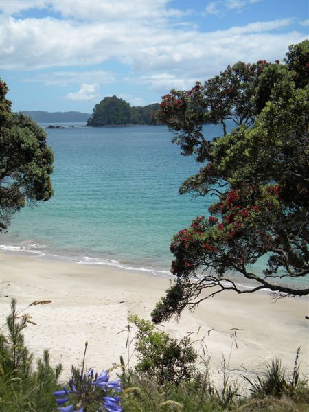 Harhei Beach - Coromandel