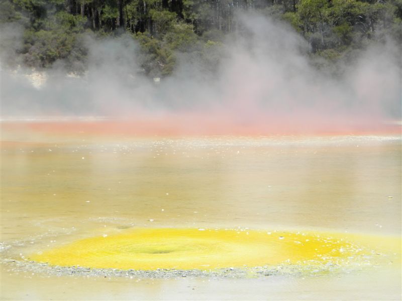 Coloured pools at Wai-O-Tapu